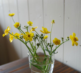 0406-1.jpg