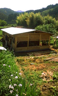 0614-1.jpg