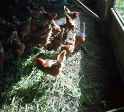 0924-1.jpg