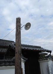 1216-1.jpg